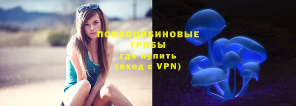 эйфоретик Алексин