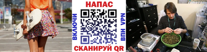 Бошки Шишки MAZAR Нестеров